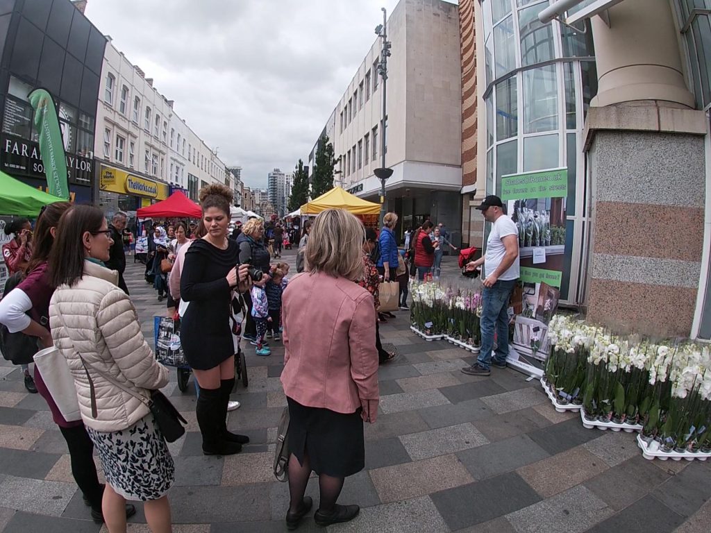 shades of romeo - 31 may flowers day, free flowers. 