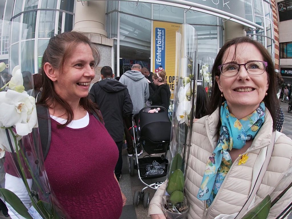 🌹 Become a Shade of Romeo Shades of Romeo - Free flowers.