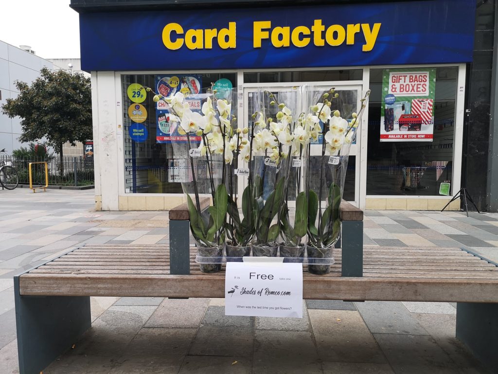 🌹 The Flower as a Portal 158289022 2586131978359639 5011968425460722322 n