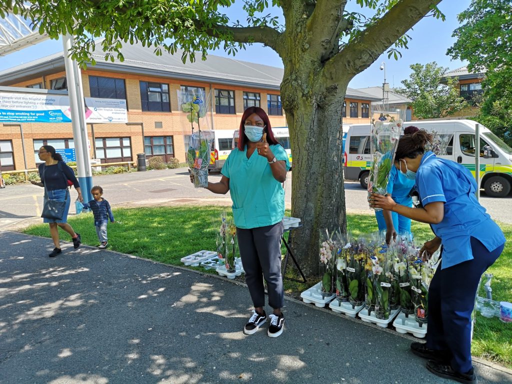 192892265 2642210476085122 6624079698144576113 n