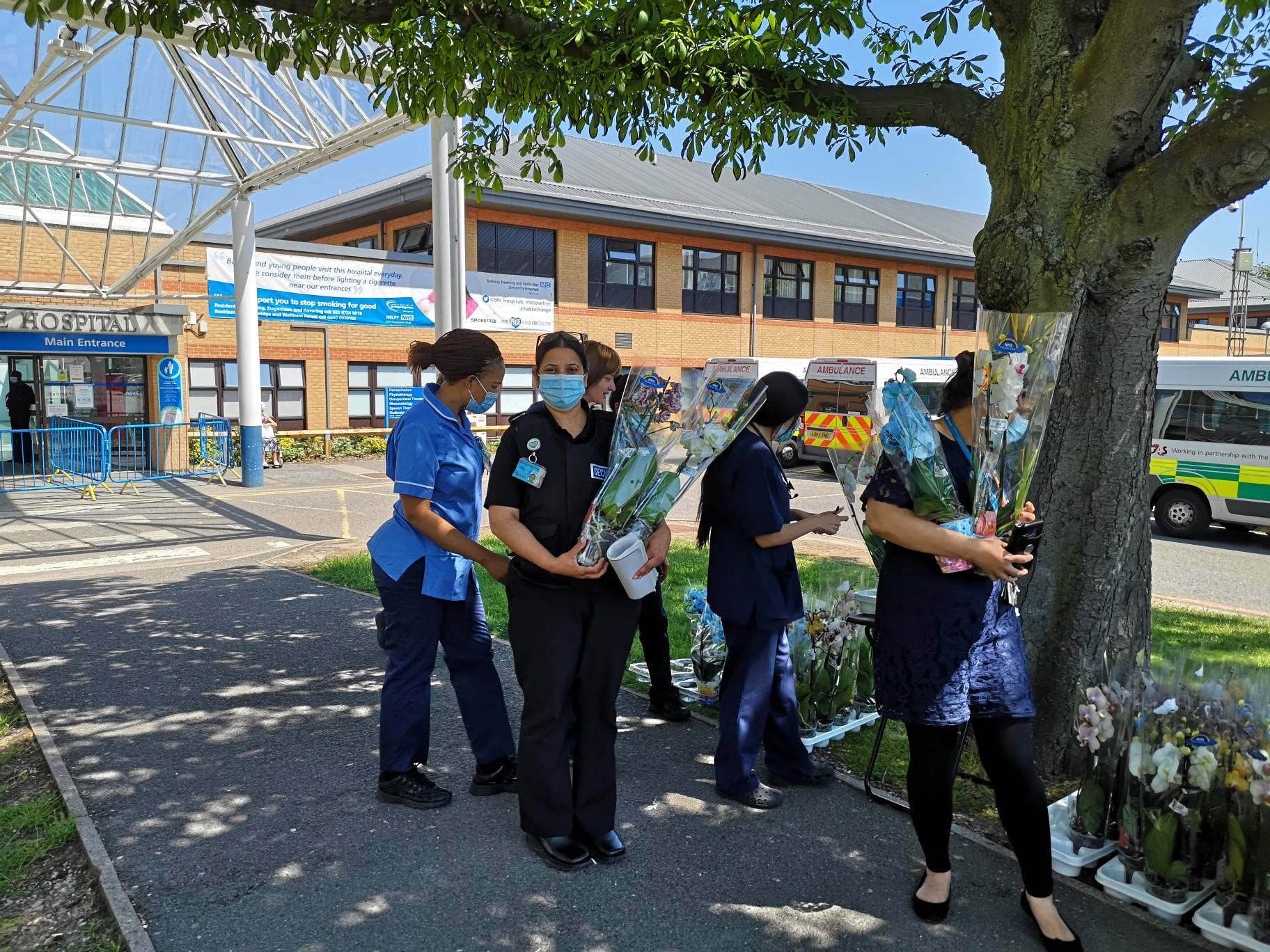 192935371 2642210352751801 4166690142281719603 n