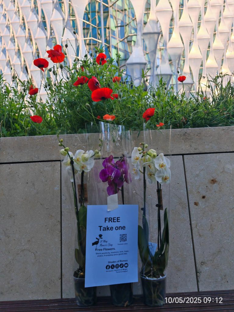 1a0b1e9d ff46 4f9d ba18 407668d53245