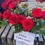 shades of romeo - free flowers