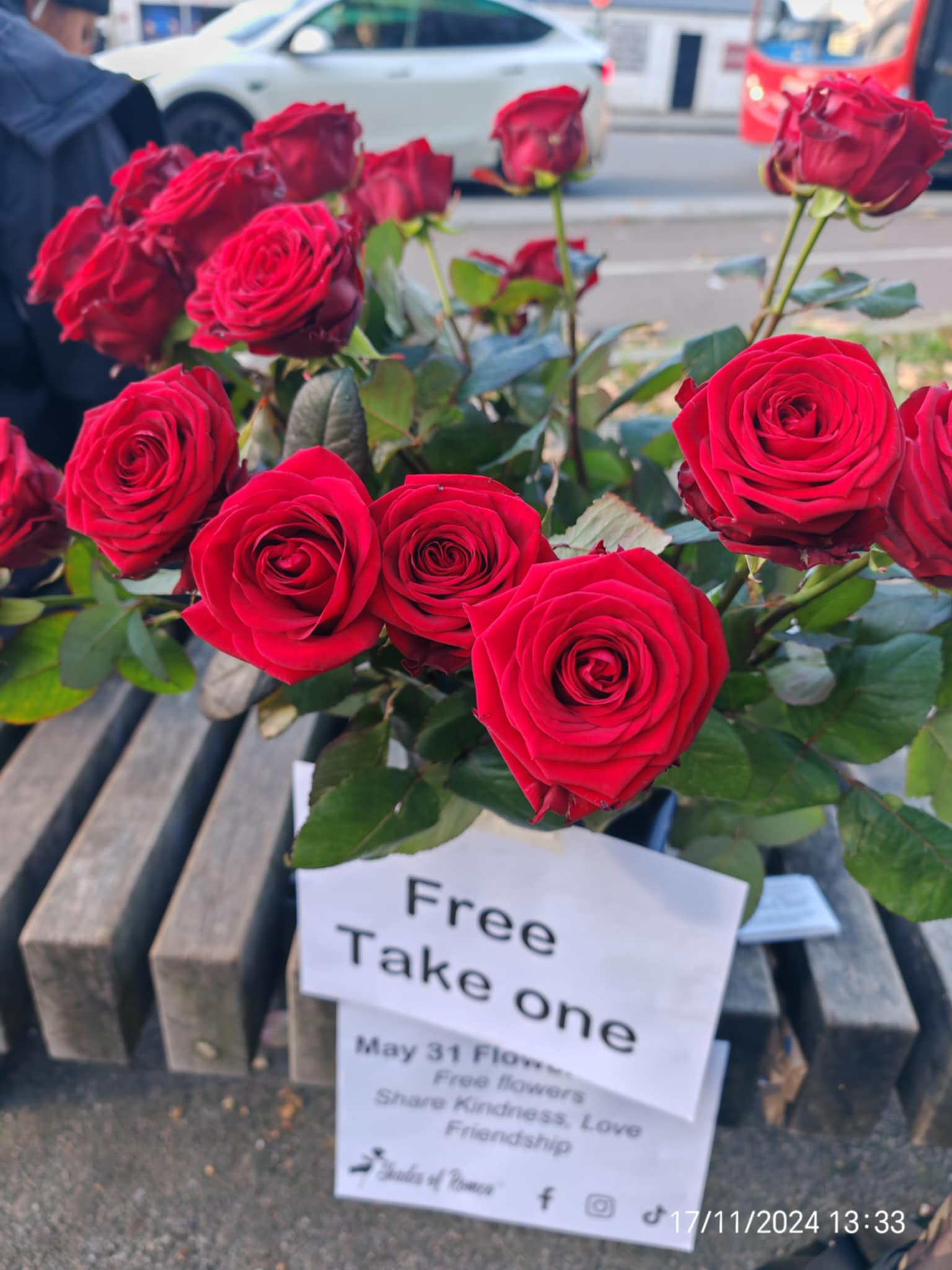 shades of romeo - free flowers