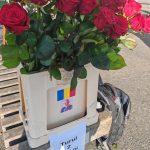 Bobby D turul 2 inapoi