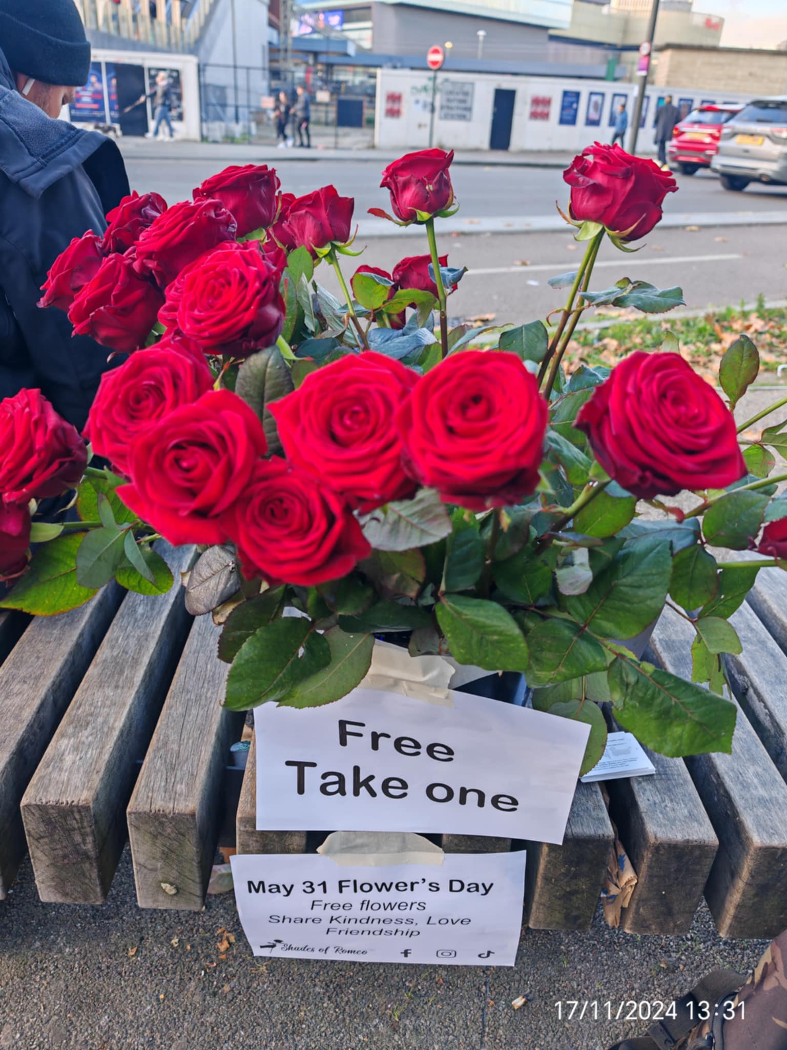 31 May - Flower's Day, free flowers.