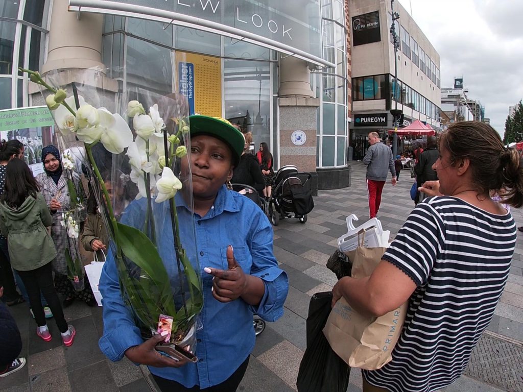 🌹 Become a Shade of Romeo 99425833 2369238776715628 5657319068181463040 n