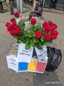 🌹 “How Can You Give a Flower… to Another Flower?” 27e02efd 16bf 4c35 b48c 93c0447c0955