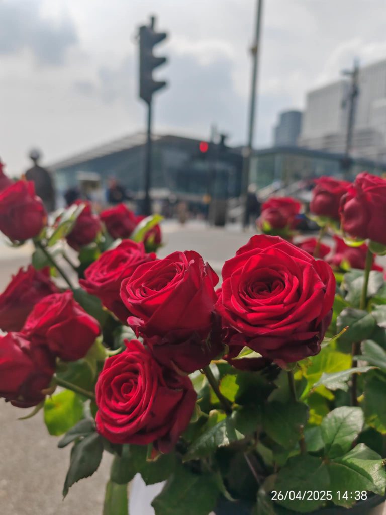 28372e2f d4f5 401e 8a5f fe666c61aa65 (1)