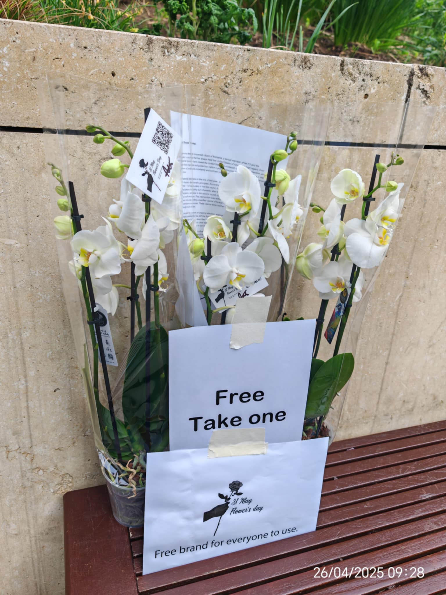 31 may - flower's day, free flowers