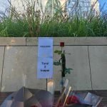 Bobby D 6bf086ab 4f28 445a b3e6 6e7cd78da813