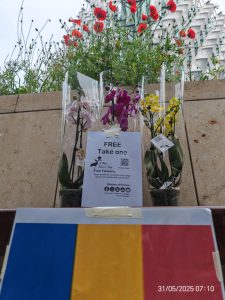 7edf5ae7 248d 4e80 8341 9fdb97bd48fe