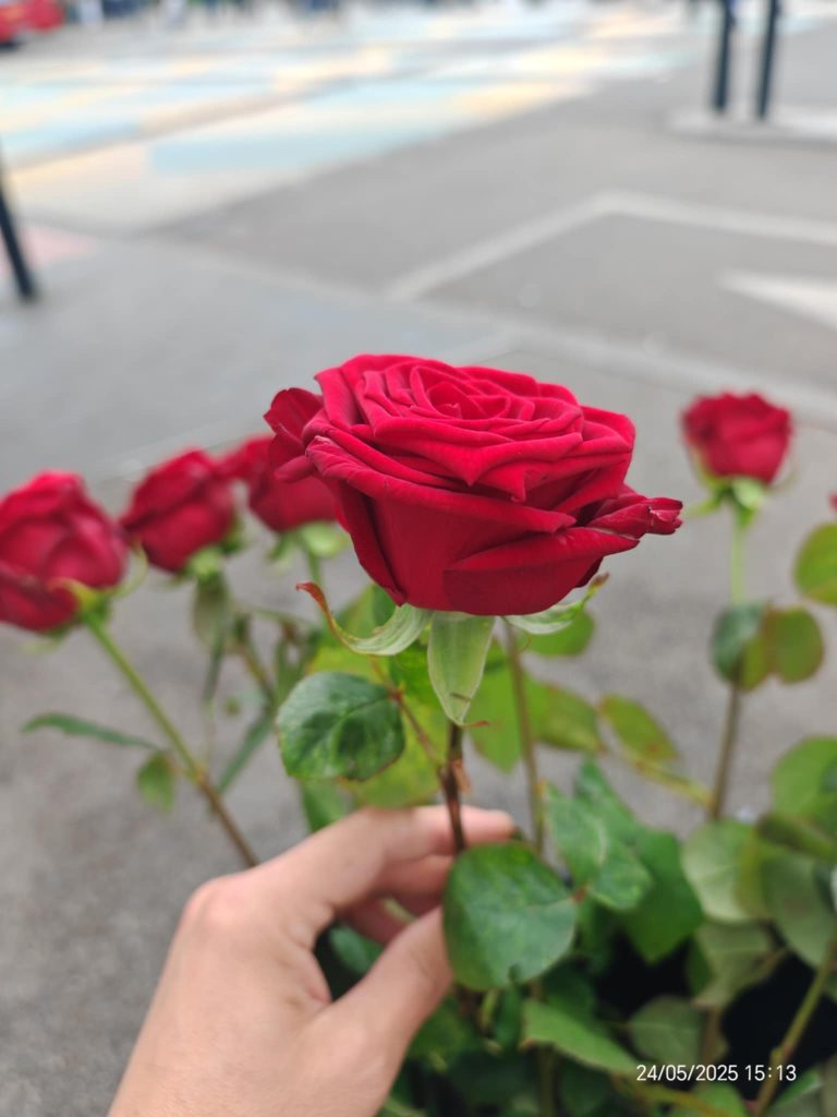 a15d5b62 e7d7 46ce b36a e72c32016c98 (1)