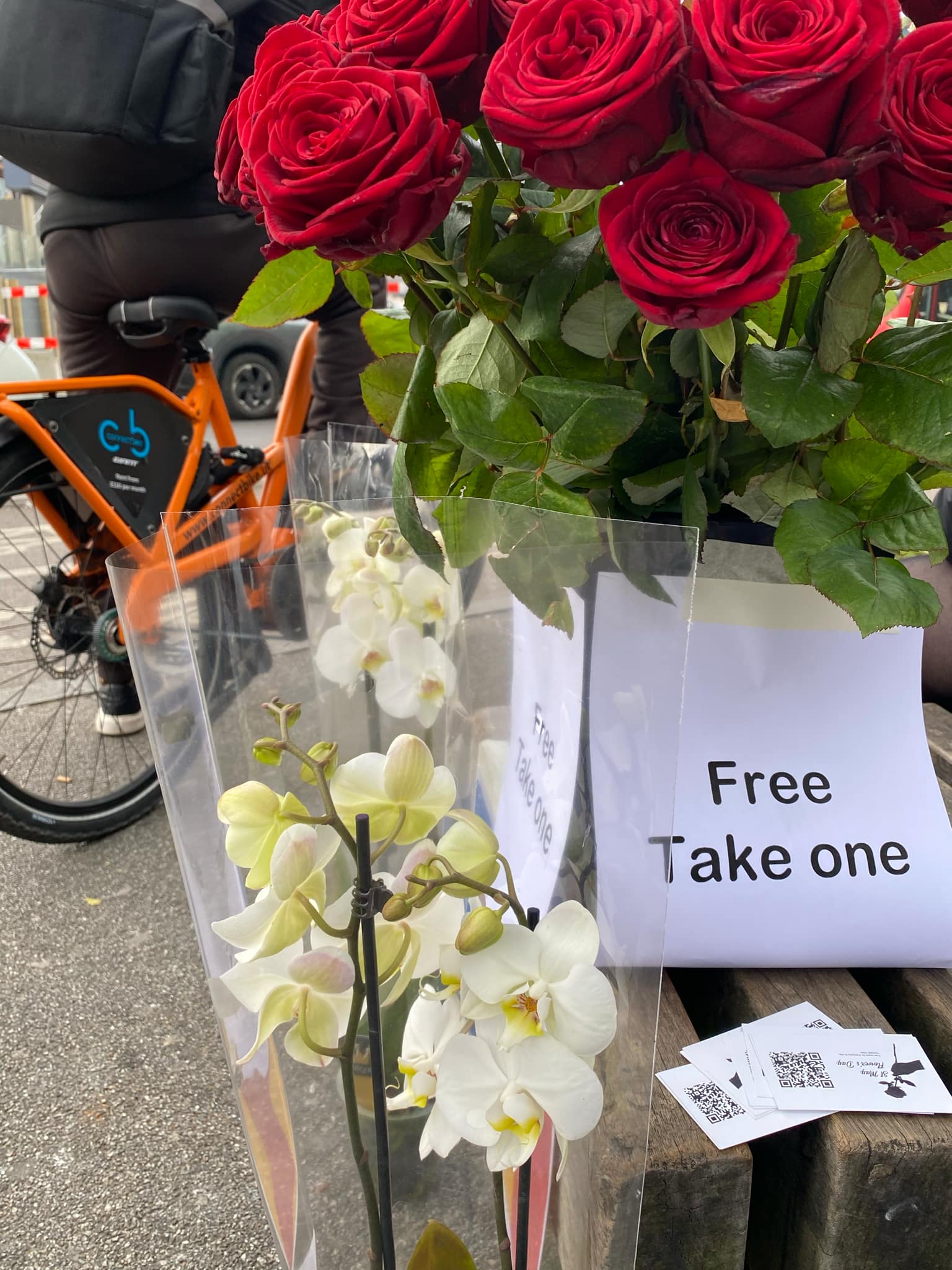 Shades of Romeo free flowers