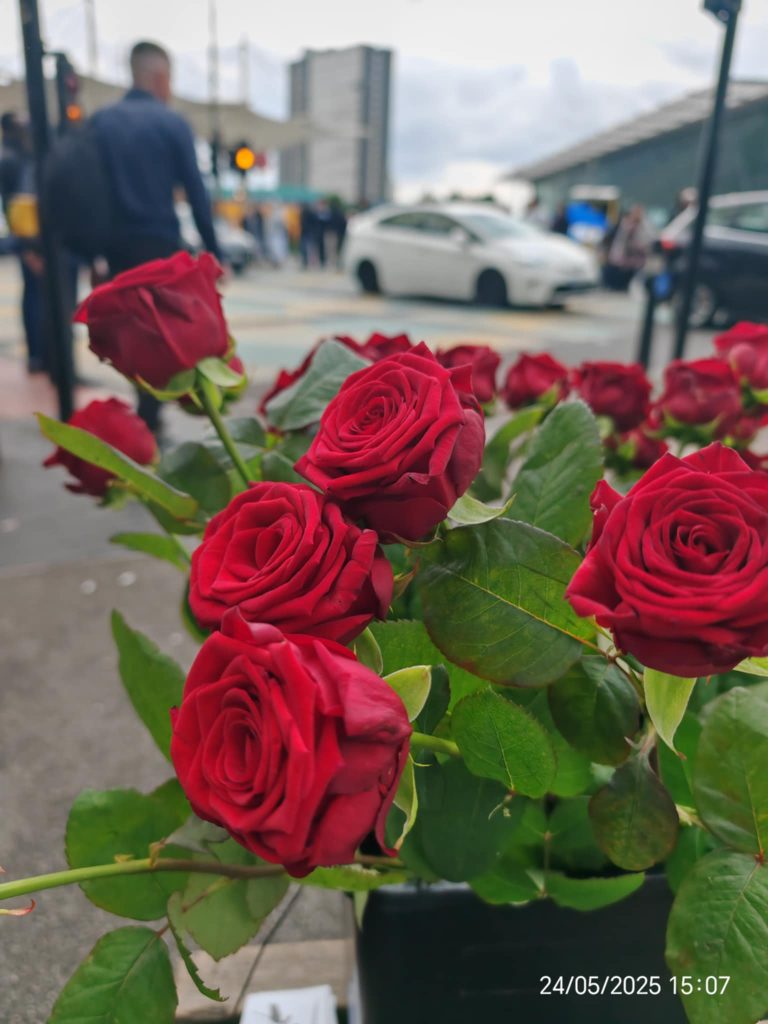 e31e7cbe 9bde 4b5d 87f1 4b60b8273eb7