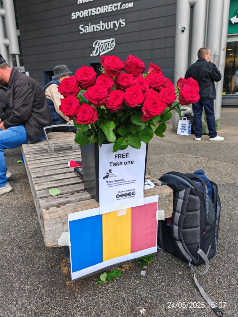 💫 Freedom Through Love e821f24f f06f 4142 bac5 d80db61cd52a