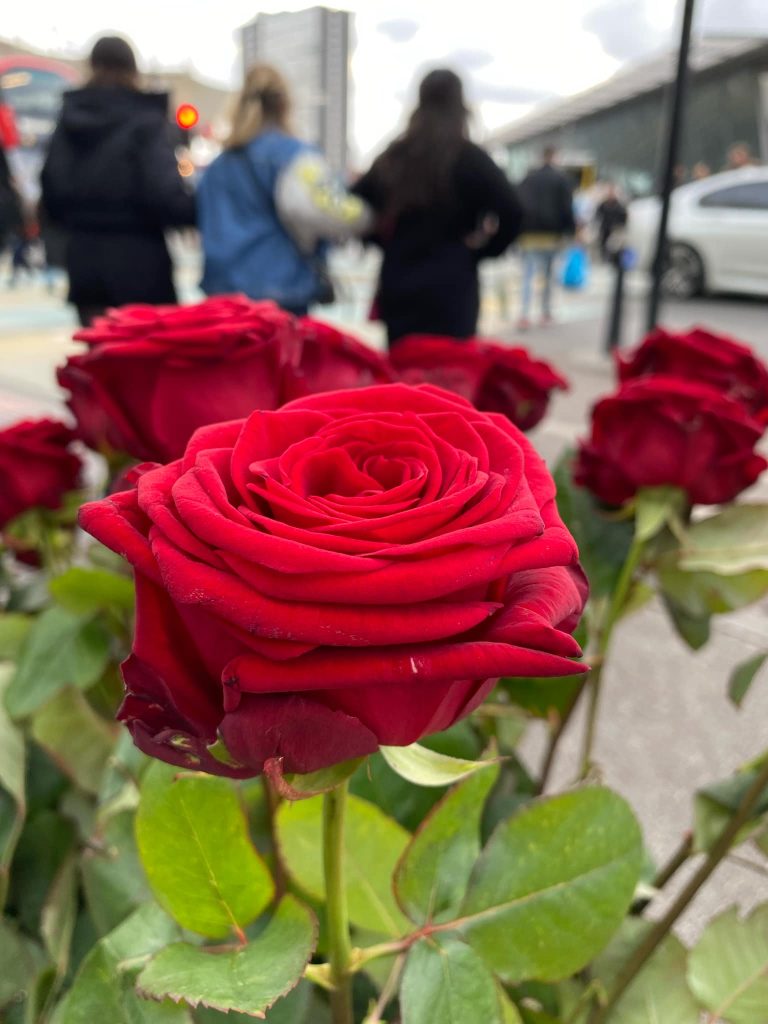 Shades of Romeo simple human gesture