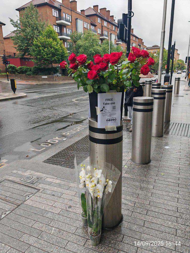 Shades of Romeo human connection flowers