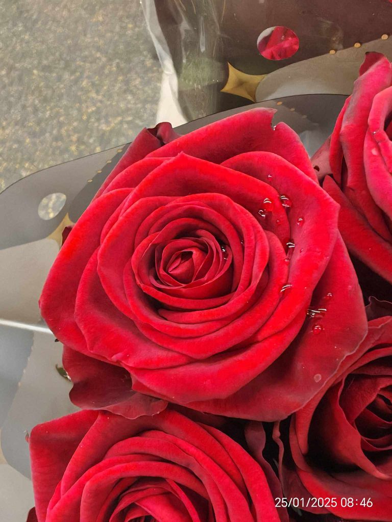 Shades of Romeo conscious human action