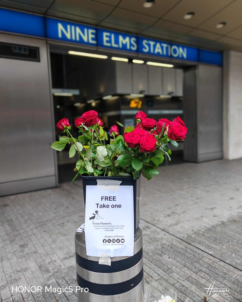 Shades of Romeo collective flower action