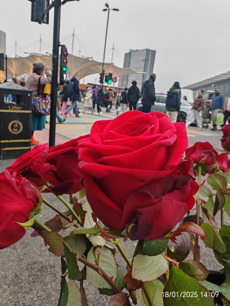 Shades of Romeo flower gesture