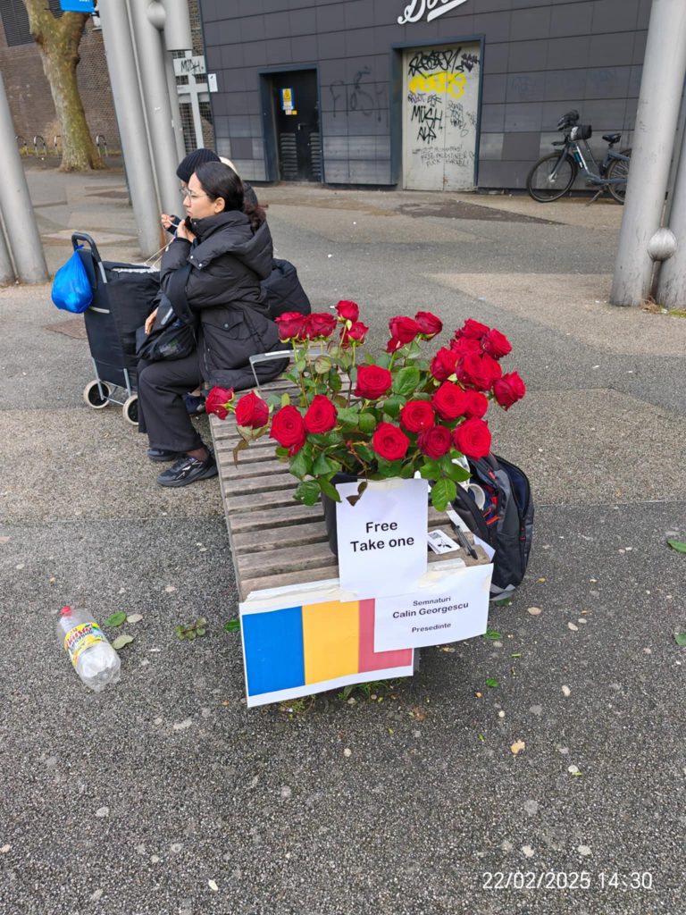 Shades of Romeo human connection flowers