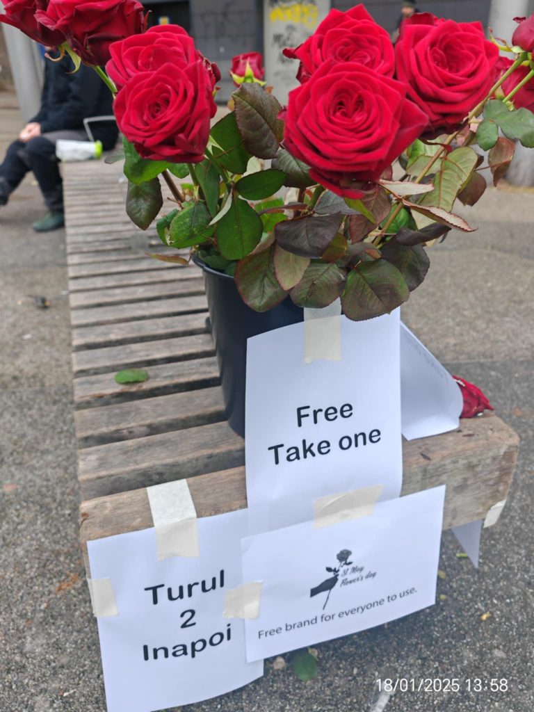 Shades of Romeo free roses