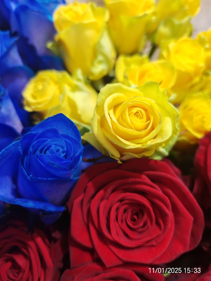 Calin Georgescu freedom of choice