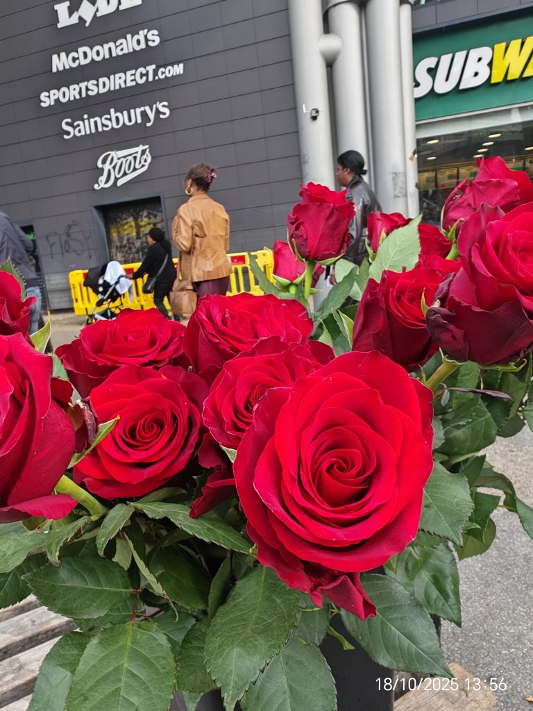 Shades of Romeo intentional flower offering