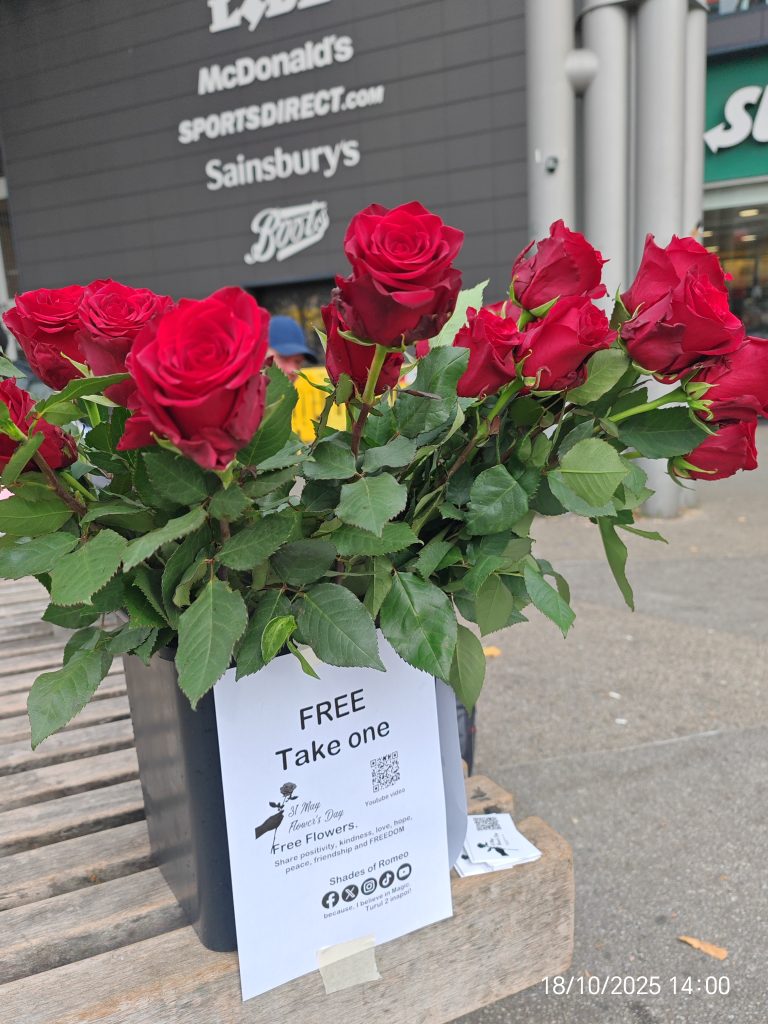 Shades of Romeo flowers human awareness