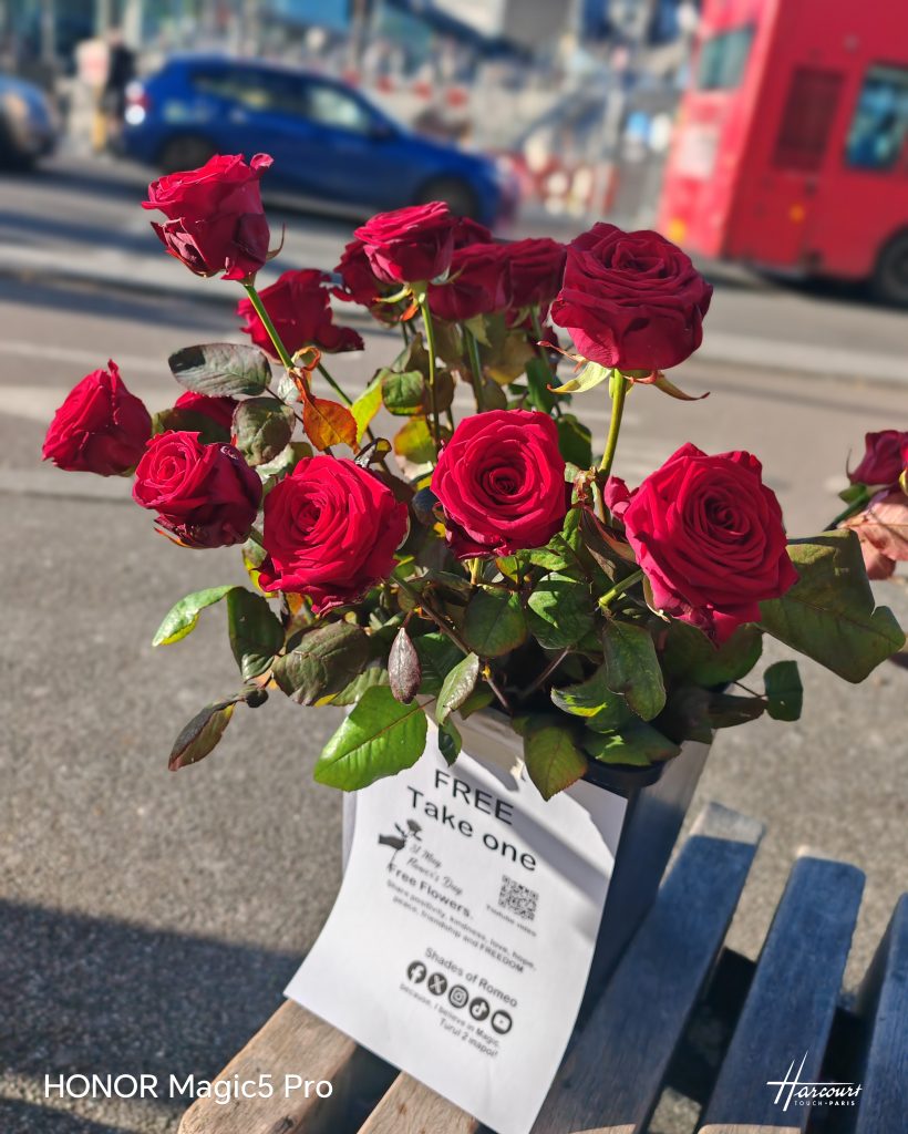 Shades of Romeo freedom without chaos