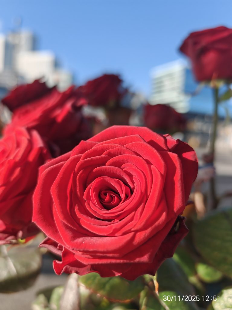 Shades of Romeo simple human gestures