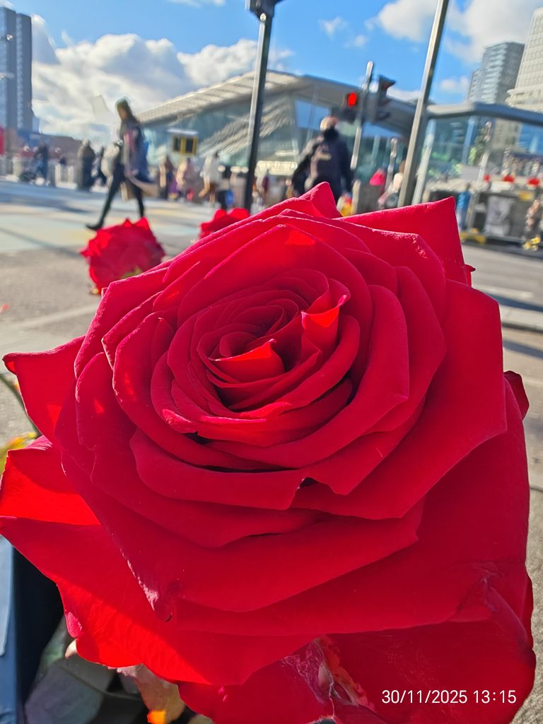 Shades of Romeo awakening through presence