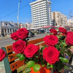 Shades of Romeo 31 May flowers