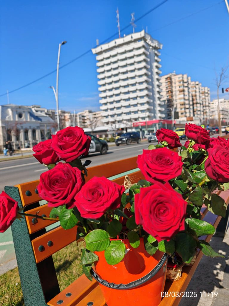 Shades of Romeo flowers human awareness