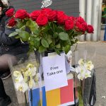 Shades of Romeo calm conscious action