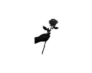 hand-with-a-rose-8666491_1280