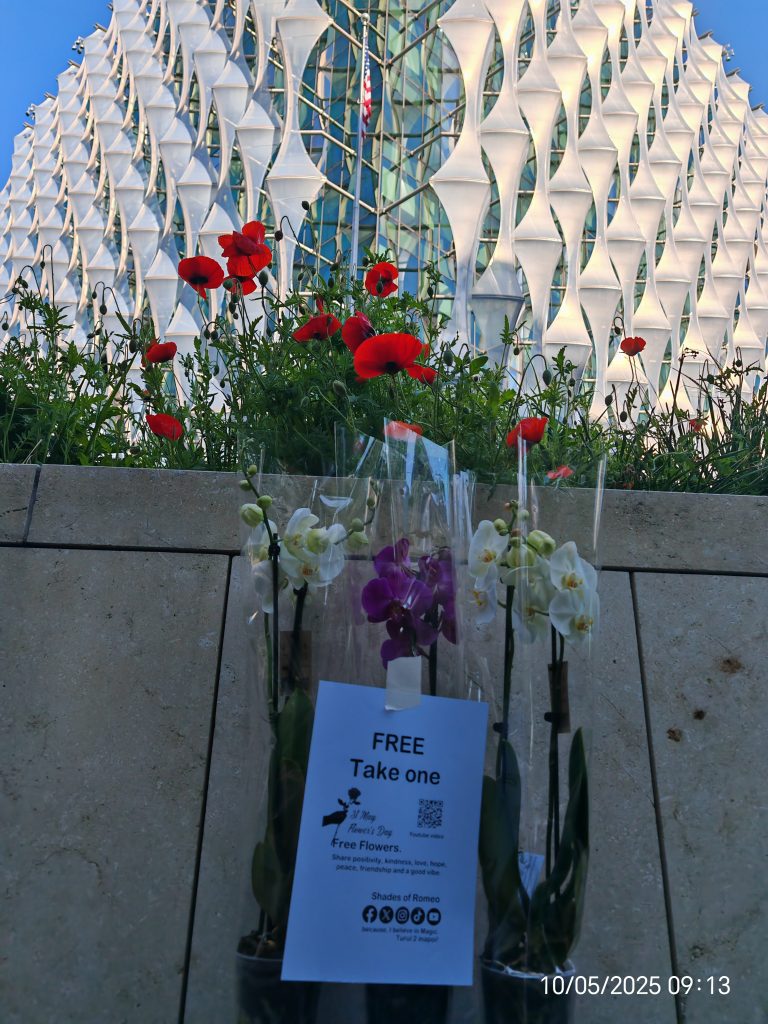 Freedom from God, Not Government – Charlie Kirk Legacy Lives On 🕯️🇺🇸🙏