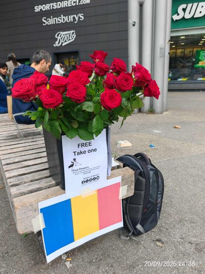 Shades of Romeo Flower’s Day